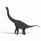 Brachiosaurus 28 A_0001